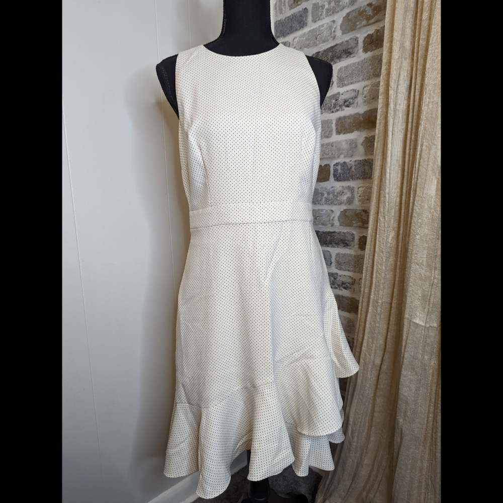 NWT Polka Dot Banana Republic Sleeveless Dress